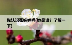 你認識張婉婷嗎，她是誰？了解一下