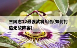 三國志12最強武將組合，如何打造無敵陣容