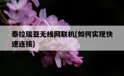 泰拉瑞亞無線網聯機，如何實現快速連接