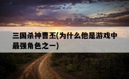 三國殺神曹丕，為什么他是游戲中最強角色之一