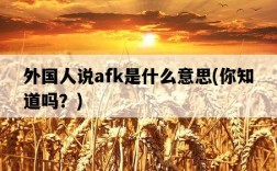 外國人說afk是什么意思，你知道嗎？