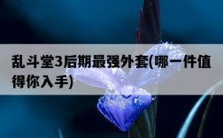亂斗堂3后期最強外套，哪一件值得你入手