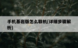 手機基巖版怎么聯機，詳細步驟解析