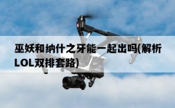 巫妖和納什之牙能一起出嗎，解析LOL雙排套路