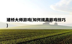 建橋大師游戲，如何提高游戲技巧