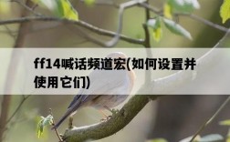ff14喊話頻道宏，如何設置并使用它們