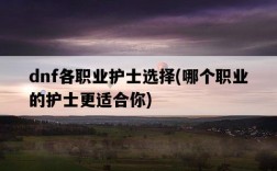 dnf各職業護士選擇，哪個職業的護士更適合你