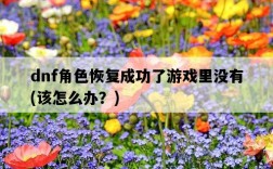 dnf角色恢復成功了游戲里沒有，該怎么辦？