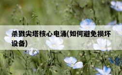 殺戮尖塔核心電涌，如何避免損壞設備