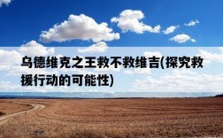 烏德維克之王救不救維吉，探究救援行動的可能性