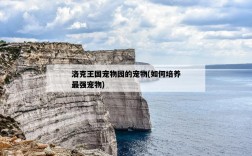 洛克王國寵物園的寵物，如何培養最強寵物