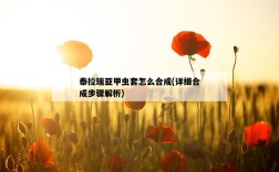 泰拉瑞亞甲蟲套怎么合成，詳細合成步驟解析