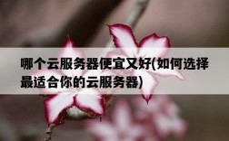 哪個云服務器便宜又好，如何選擇最適合你的云服務器