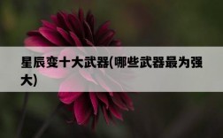 星辰變十大武器，哪些武器最為強大