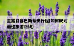 星露谷塞巴斯蒂安行程，如何規劃最佳旅游路線