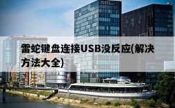 雷蛇鍵盤連接USB沒反應，解決方法大全