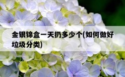 金銀錦盒一天扔多少個，如何做好垃圾分類