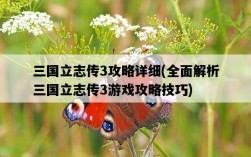 三國立志傳3攻略詳細，全面解析三國立志傳3游戲攻略技巧