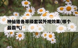 神仙道各等級套裝外觀效果，哪個最霸氣