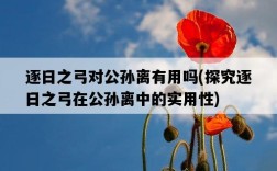 逐日之弓對公孫離有用嗎，探究逐日之弓在公孫離中的實用性