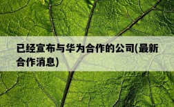 已經宣布與華為合作的公司，最新合作消息