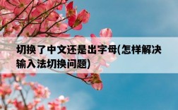 切換了中文還是出字母,怎樣解決輸入法切換問題