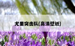 尤里突擊隊，高清壁紙