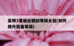 巫師3愛麗絲鋼劍等級太低，如何提升裝備等級