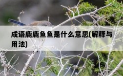 成語鹿鹿魚魚是什么意思，解釋與用法