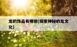 龍的飾品有哪些，探索神秘的龍文化