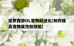 造夢西游OL寵物超進化，如何提高寵物屬性和技能