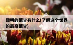 黎明的榮譽有什么，了解這個世界的最高榮譽