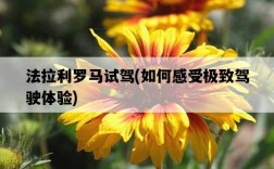 法拉利羅馬試駕，如何感受極致駕駛體驗