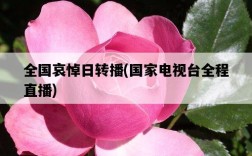 全國哀悼日轉播，國家電視臺全程直播