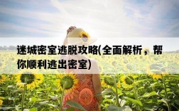 迷城密室逃脫攻略，全面解析，幫你順利逃出密室