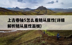上古卷軸5怎么看隨從屬性，詳細解析隨從屬性面板