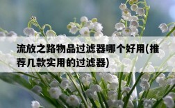 流放之路物品過濾器哪個好用，推薦幾款實用的過濾器