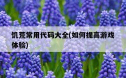 饑荒常用代碼大全，如何提高游戲體驗