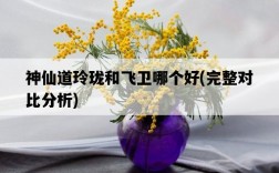 神仙道玲瓏和飛衛哪個好，完整對比分析
