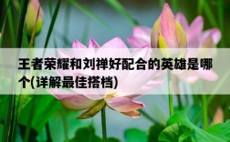 王者榮耀和劉禪好配合的英雄是哪個，詳解最佳搭檔