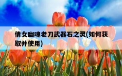 倩女幽魂老刀武器石之靈，如何獲取并使用