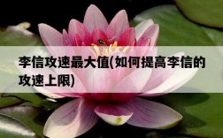 李信攻速最大值，如何提高李信的攻速上限