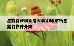星露谷鼓眼魚是大眼魚嗎，解析星露谷物種分類
