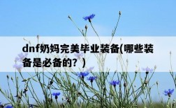 dnf奶媽完美畢業裝備，哪些裝備是必備的？