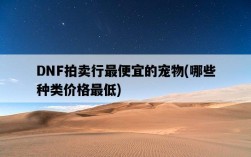 DNF拍賣行最便宜的寵物，哪些種類價格最低