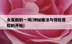 女巫新的一周，神秘魔法與驚險冒險的開始