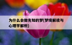 為什么會做先知的夢，夢境解讀與心理學解析