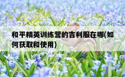 和平精英訓練營的吉利服在哪，如何獲取和使用