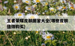 王者榮耀皮膚圖鑒大全，哪些皮膚值得購買