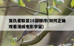 復仇者聯盟18部順序，如何正確觀看漫威電影宇宙